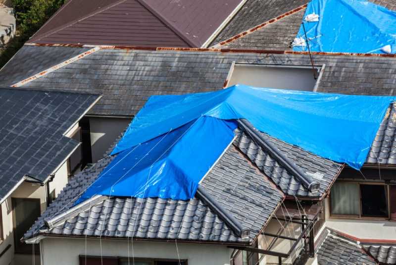 Is Your Roof Leaking?